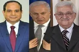 برگزاری نشست مشترک 