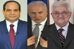 برگزاری نشست مشترک 