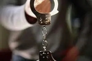 پیمانکار حادثه مرگ دختر ۵ ساله در آبنمای پارک بازداشت شد