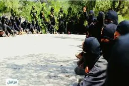 آزادی فلوجه یعنی سقوط بهشت تکفیری‌ها در منطقه