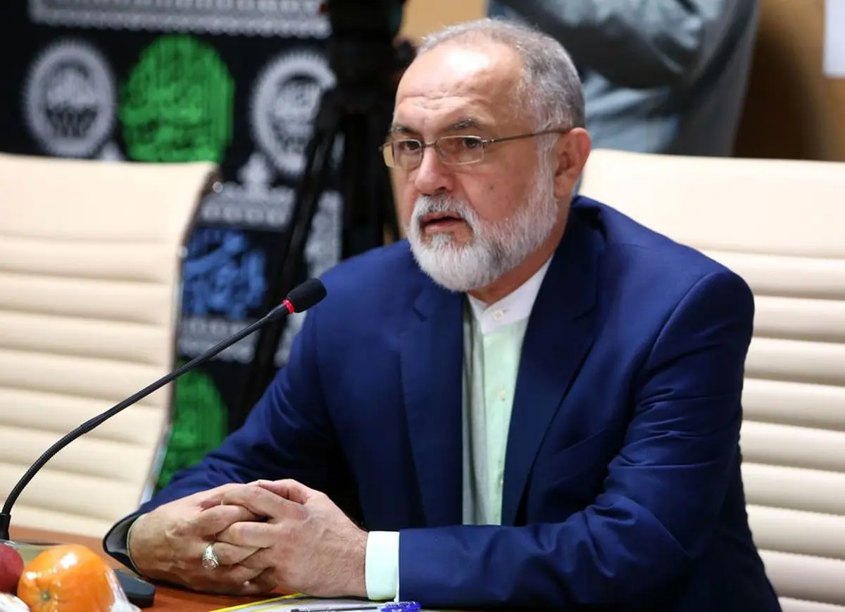 شهنازی: ایران می‌تواند میزبان خوبی برای نشست‌های بین‌المللی باشد