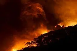 پاسارگاد همچنان در آتش می‌سوزد