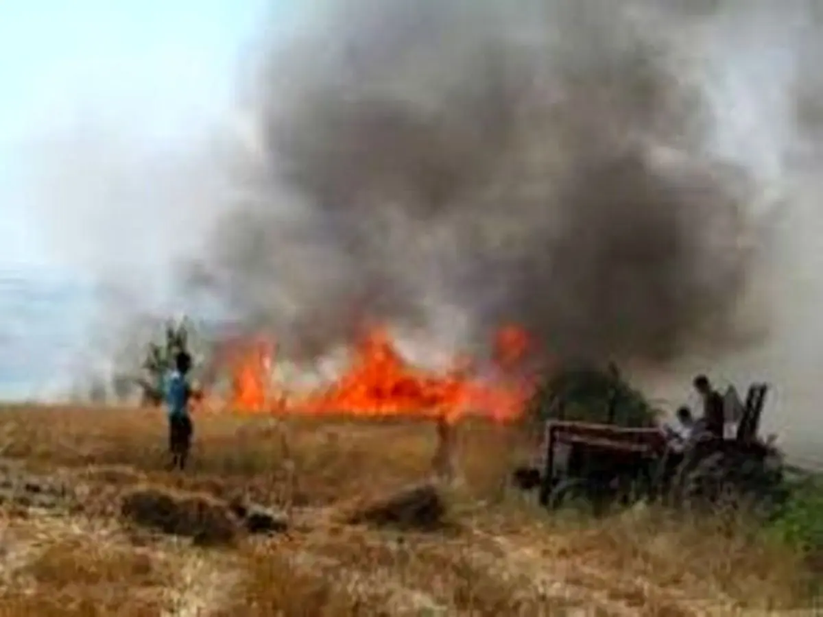 آتش‌سوزی مزارع کوهدشت مهار شد/ ۸۰۰ هکتار در آتش سوخت