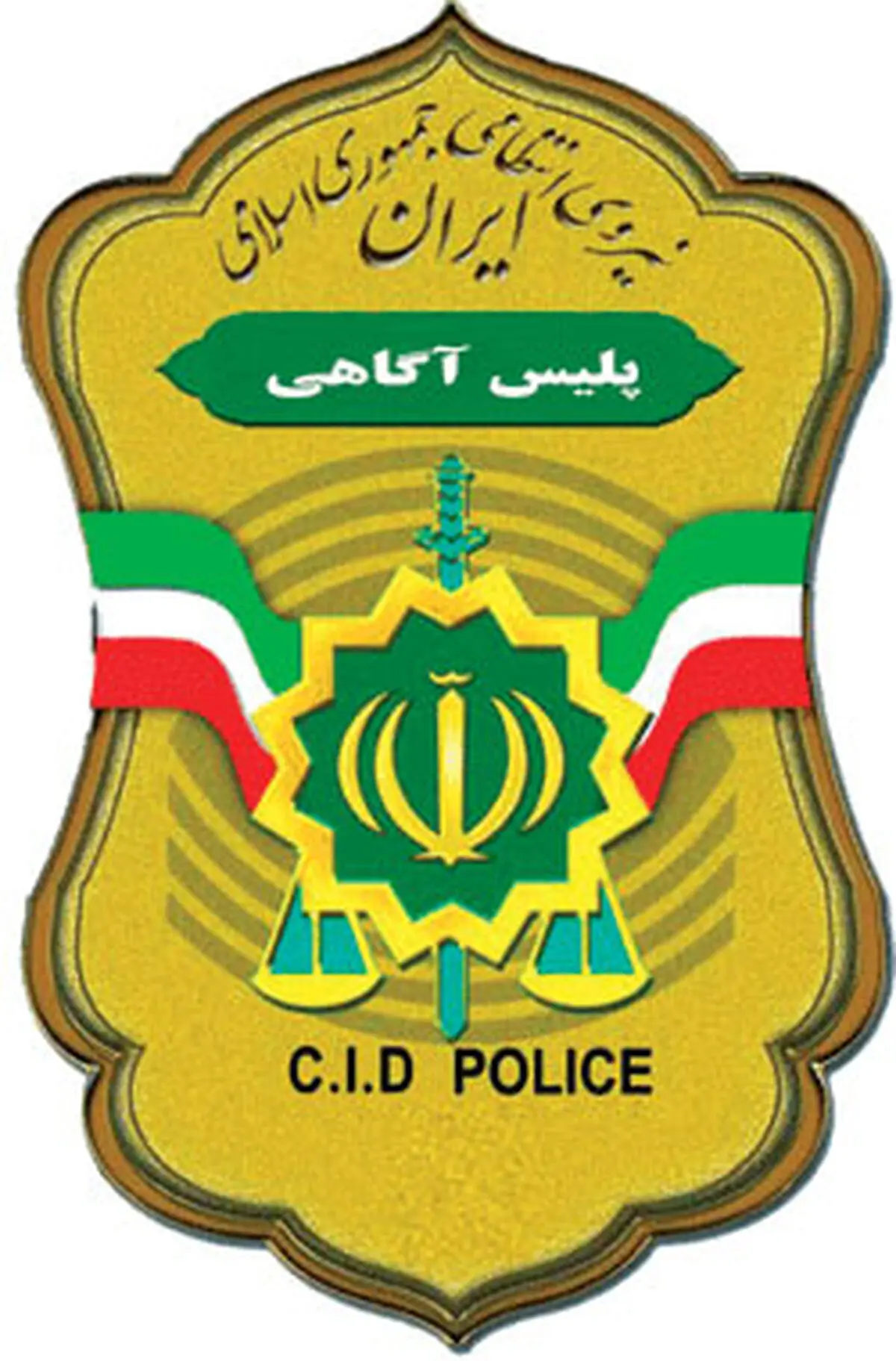 تجهیز گشتی‌های آگاهی به دوربین پلاک‌خوان