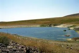 مستند 