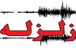 ساری لرزید