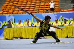 کادر فنی تیم ملی ووشوی جوانان ایران معرفی شد