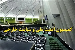 اعضای کمیسیون امنیت ملی مجلس دهم مشخص شدند + اسامی