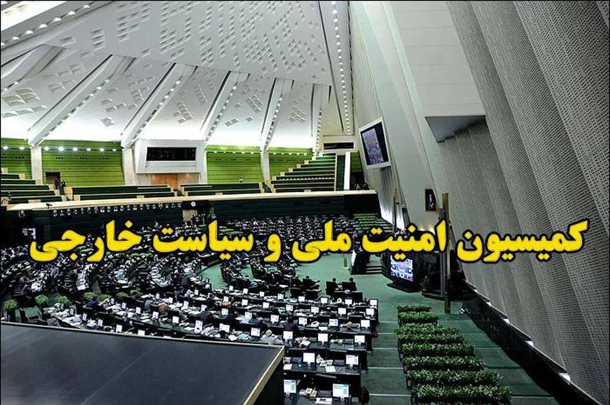 اعضای کمیسیون امنیت ملی مجلس دهم مشخص شدند + اسامی
