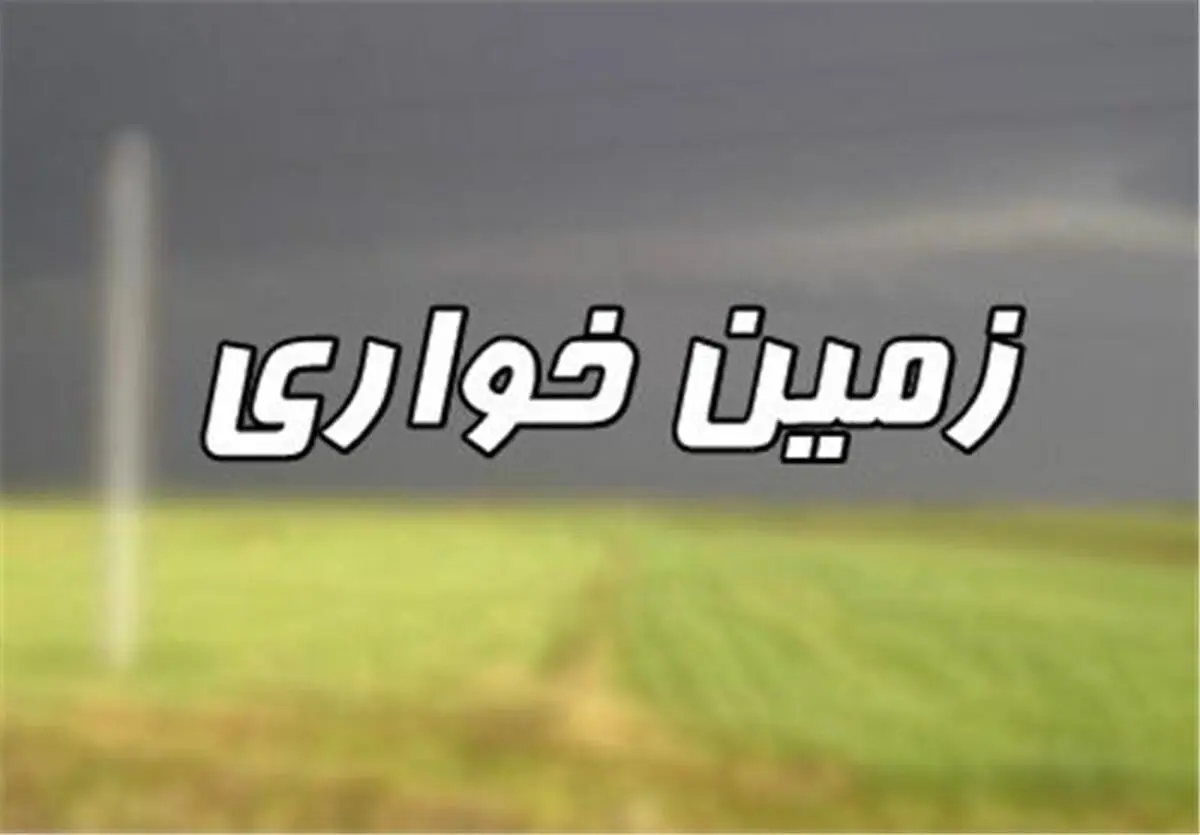 "موریانه زمین‌خواری" دستگیر شد