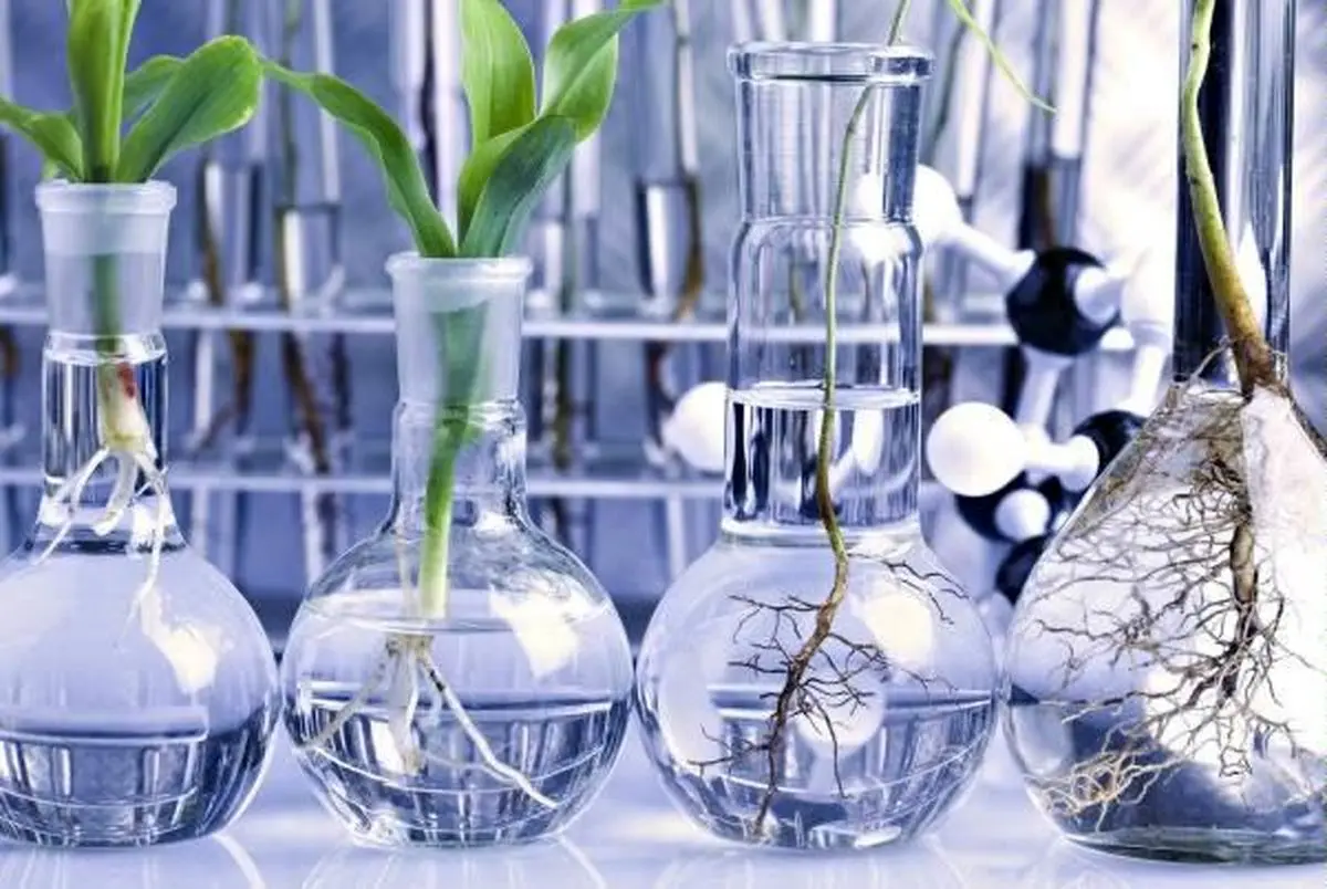 شیوه‌نامه مرتبط با موجودات دستکاری شده ژنتیکی ابلاغ شد