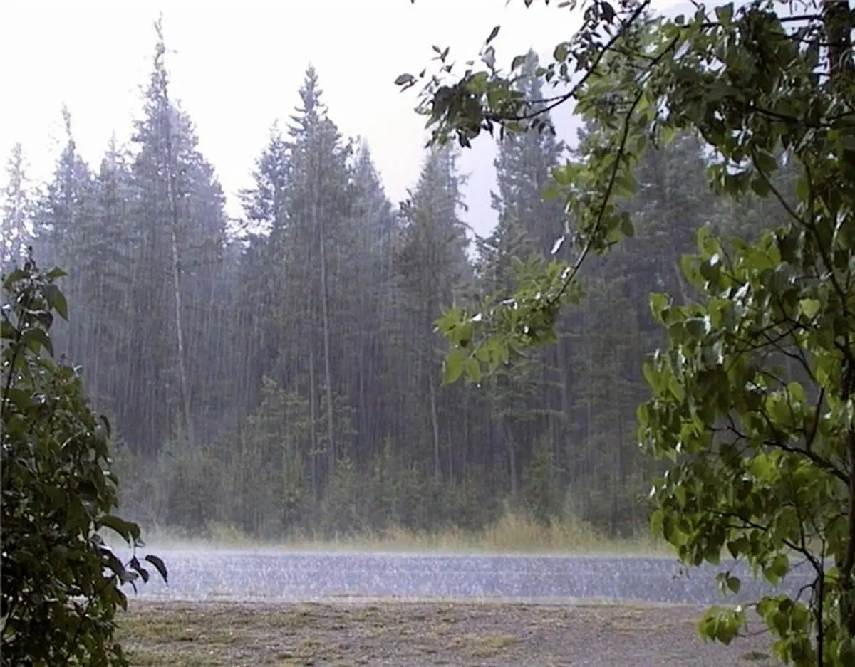 باد و رگبار پراکنده در شمال غرب کشور/ دمای هوای پایتخت امروز به ۳۵ درجه می‌رسد