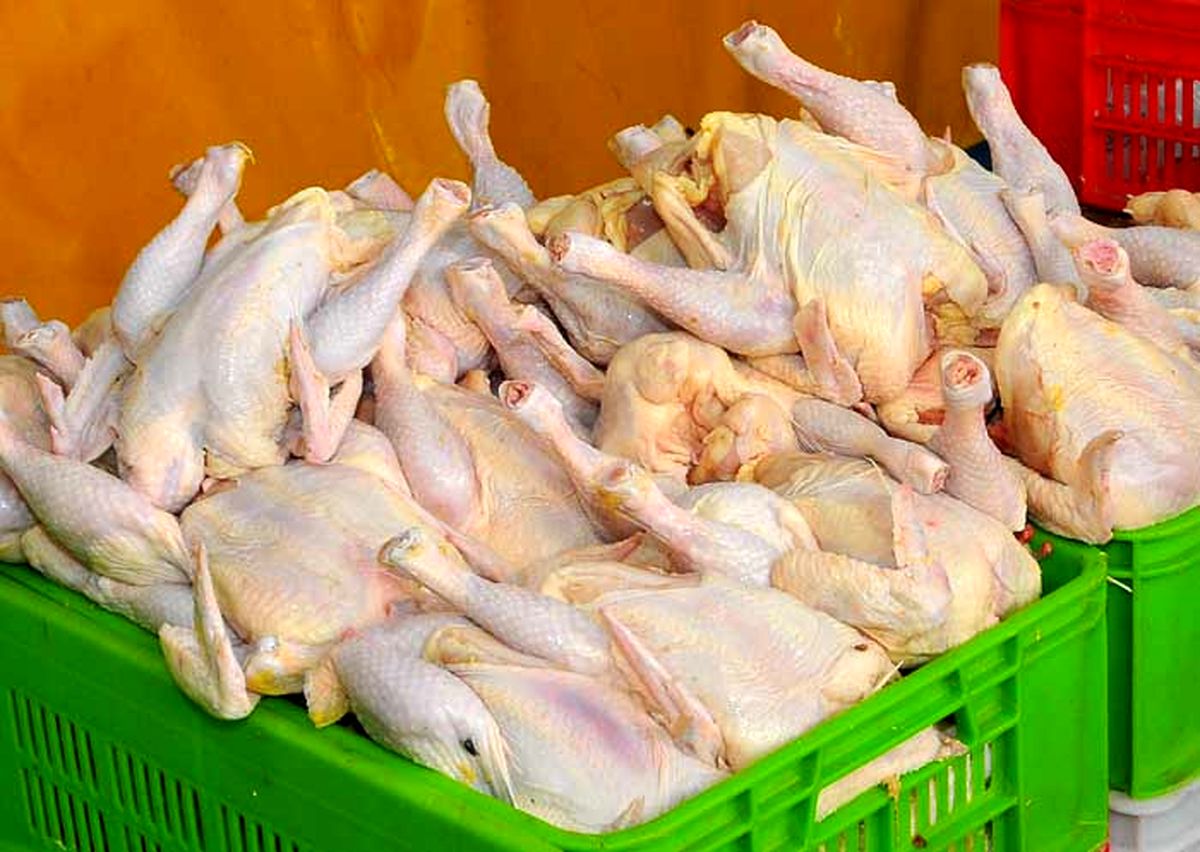 قیمت مرغ به ۷۴۰۰ تومان رسید/ مرغ دو روزه ۸۰۰ تومان گران شد