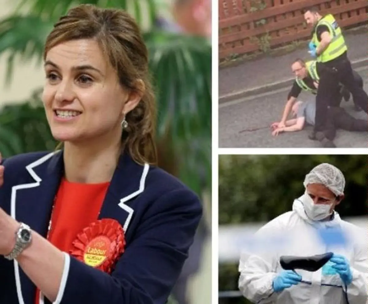 واکنش مقامات آلمان به ترور نماینده پارلمان انگلیس