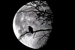 وقتی ادبیات به بستر ترور ذهنی مردم تبدیل می‌شود!