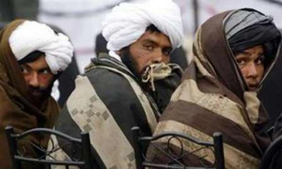 شش فرمانده ارشد طالبان پاکستان تسلیم شدند