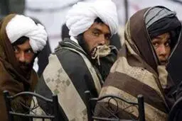 شش فرمانده ارشد طالبان پاکستان تسلیم شدند
