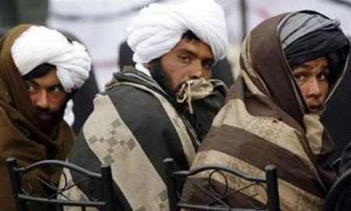 شش فرمانده ارشد طالبان پاکستان تسلیم شدند