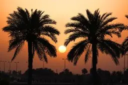 سایه تنهایی بر تنِ سوخته و زخمی جنوب؛ تو را چشم در راه‌اند