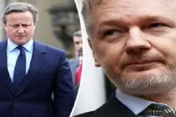 حمایت بنیانگذار 