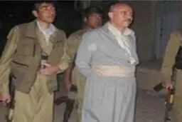 حمایت 