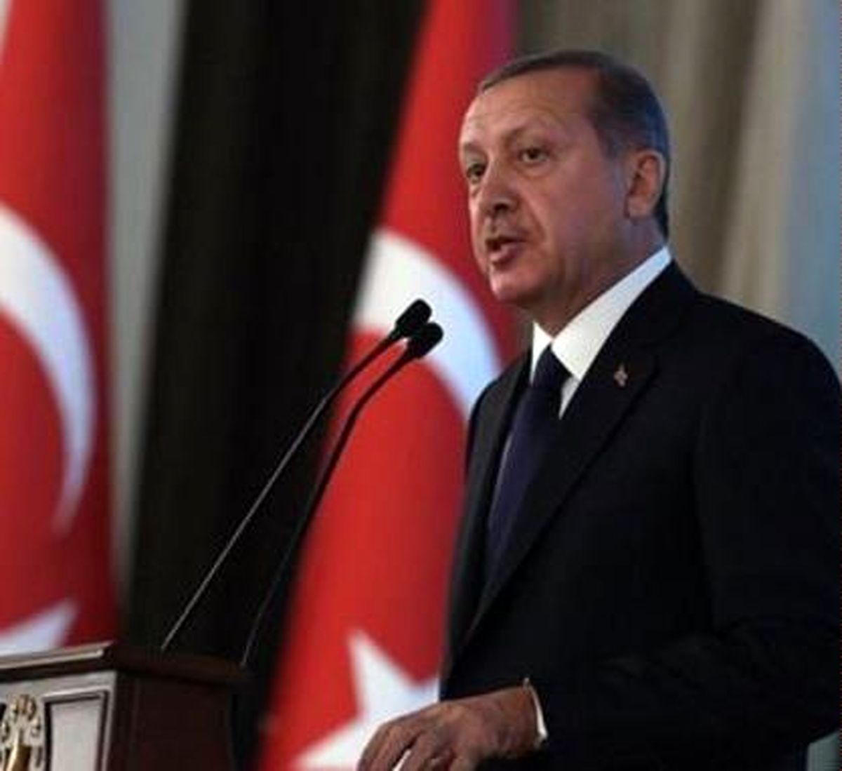 رئیس جمهور ترکیه: در کشورمان، میزبان سه میلیون پناهنده هستیم