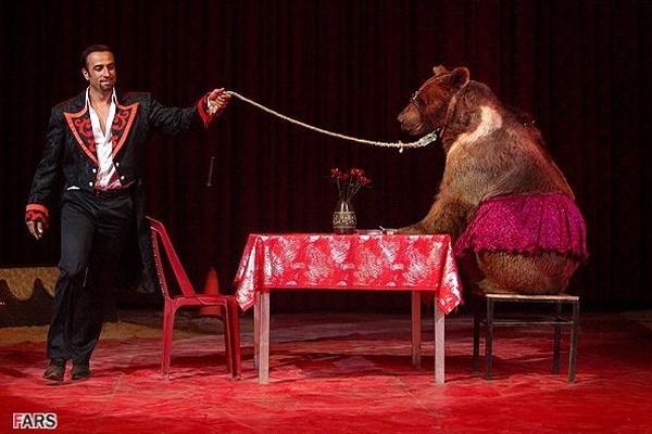 استفاده از جانوران وحشی در نمایش سیرک‌ها ممنوع شد