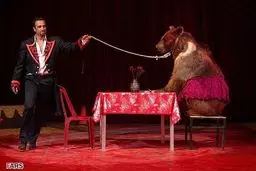 استفاده از جانوران وحشی در نمایش سیرک‌ها ممنوع شد