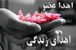 اهدای عضو در مشهد پنج بیمار را نجات داد