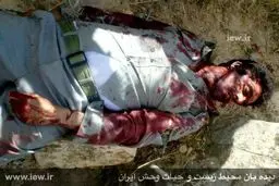 سومین محیط‌بان کشور به شهادت رسید + عکس