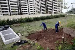 همه چیز درباره دهکده المپیک ریو