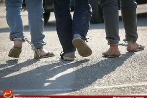 دستگیری ۱۵ دختر و پسر هنجارشکن شب‌ قدر در پردیس+ تصاویر