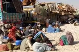 بازداشت دو هزار پناهنده افغان در ایالت 