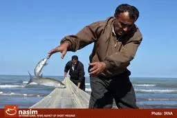 دستورالعمل صید ماهی در آب‌های داخلی ابلاغ شد