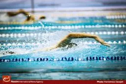 صعود انصاری، چاوشی‌فر و نسیمی‌شاد به نیمه نهایی