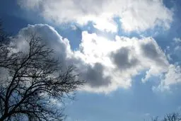 روند کاهشی دمای هوا در نیمه شمالی کشور از ابتدای هفته آینده/ دمای هوای تهران به ۴۱ درجه می‌رسد