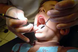 ایران در حوزه علوم دندانپزشکی به رتبه ۱۲ دنیا رسید