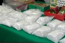 کشف بزرگ ترین محموله مواد مخدر توسط گمرک+تصویر