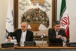 واکنش سازمان انرژی اتمی به اظهارات اخیر عباسی علیه صالحی