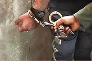 جاعل مدارک سازمان بازرسی کل کشور بازداشت شد