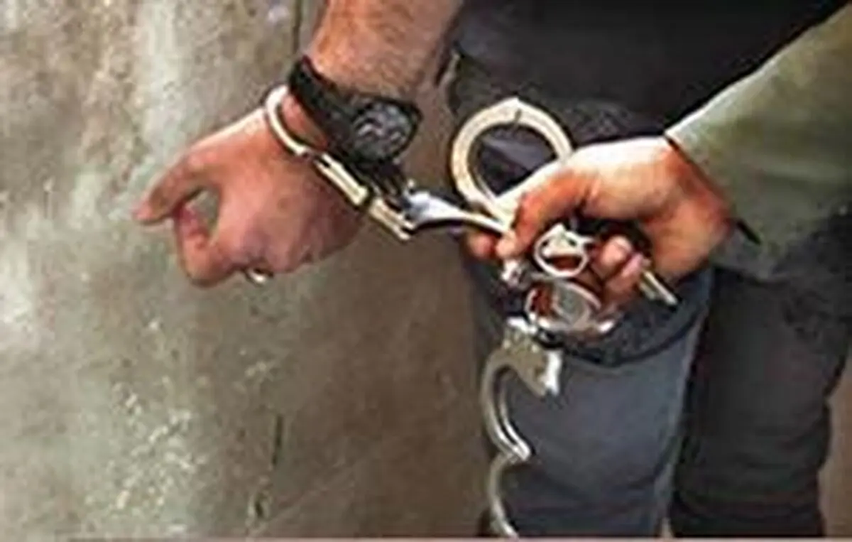 جاعل مدارک سازمان بازرسی کل کشور بازداشت شد