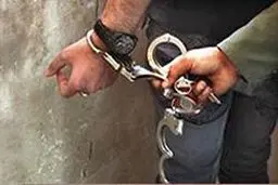 جاعل مدارک سازمان بازرسی کل کشور بازداشت شد