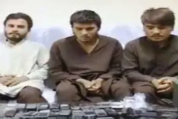 بازداشت یک شبکه 