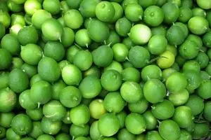 قیمت لیمو ترش به ۱۴ هزار تومان رسید/ افزایش ۱۰۰ درصدی قیمت لیموترش