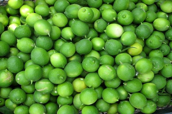 قیمت لیمو ترش به ۱۴ هزار تومان رسید/ افزایش ۱۰۰ درصدی قیمت لیموترش