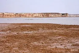 رهاسازی ۲۰ میلیون مترمکعب آب به تالاب هامون