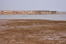 رهاسازی ۲۰ میلیون مترمکعب آب به تالاب هامون