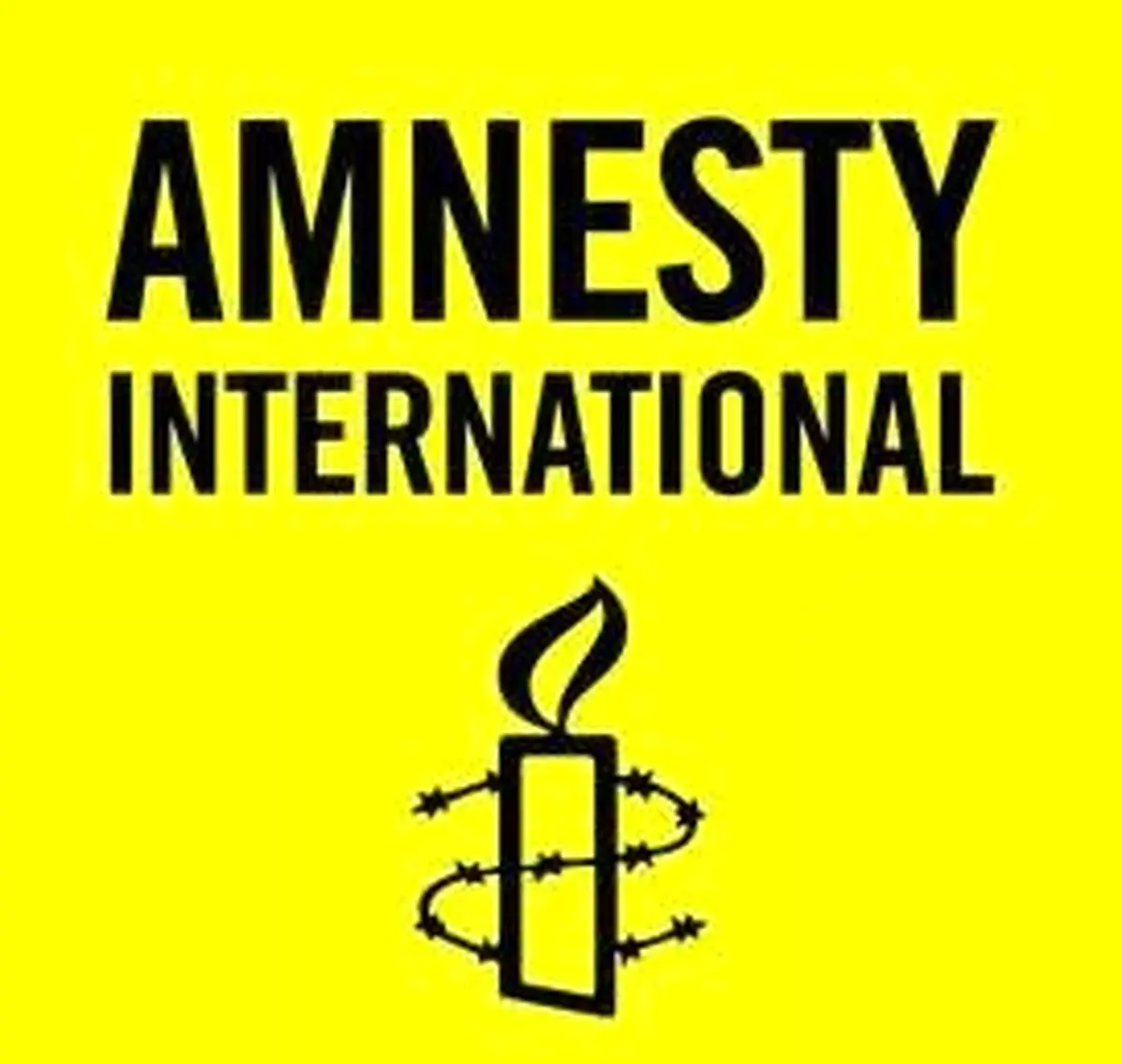 درخواست عفو بین الملل در خصوص برخورد با عوامل کودتا