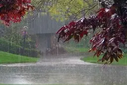 بارش باران در جنوب شرق کشور/ شمال گرم می‌شود