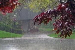 بارش باران در جنوب شرق کشور/ شمال گرم می‌شود